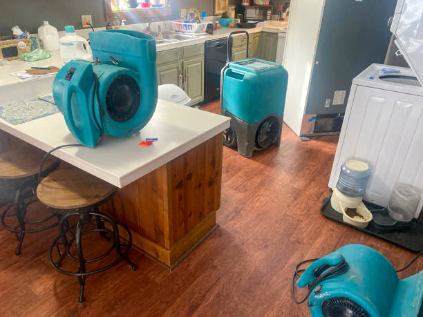 Best Sewage cleanup and water damage restoration  in Plainedge, NY