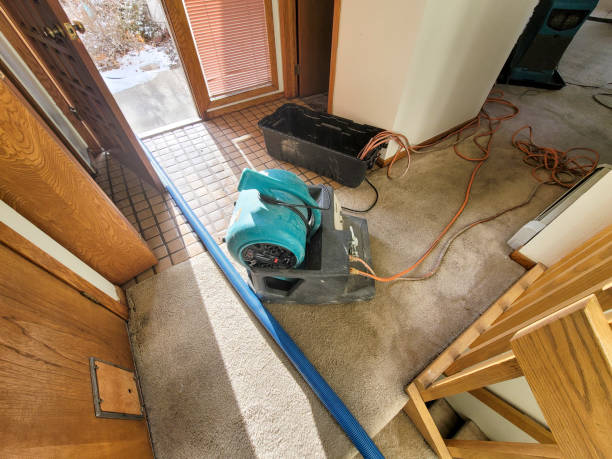 Best Water damage restoration near me  in Plainedge, NY