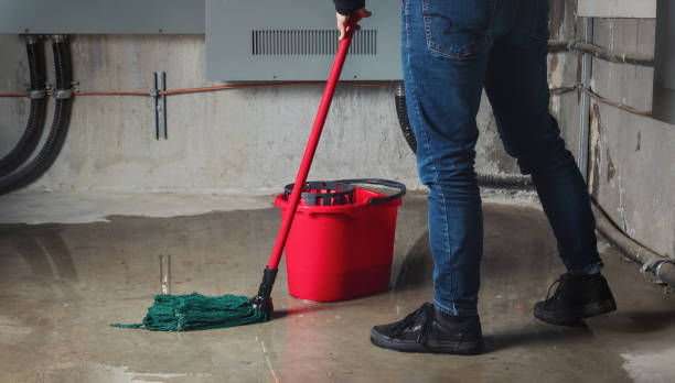 Best Sewage cleanup and water damage restoration  in Plainedge, NY