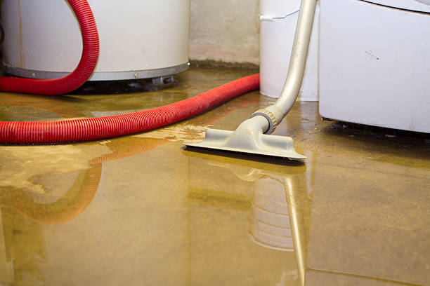 Best Water damage restoration company  in Plainedge, NY